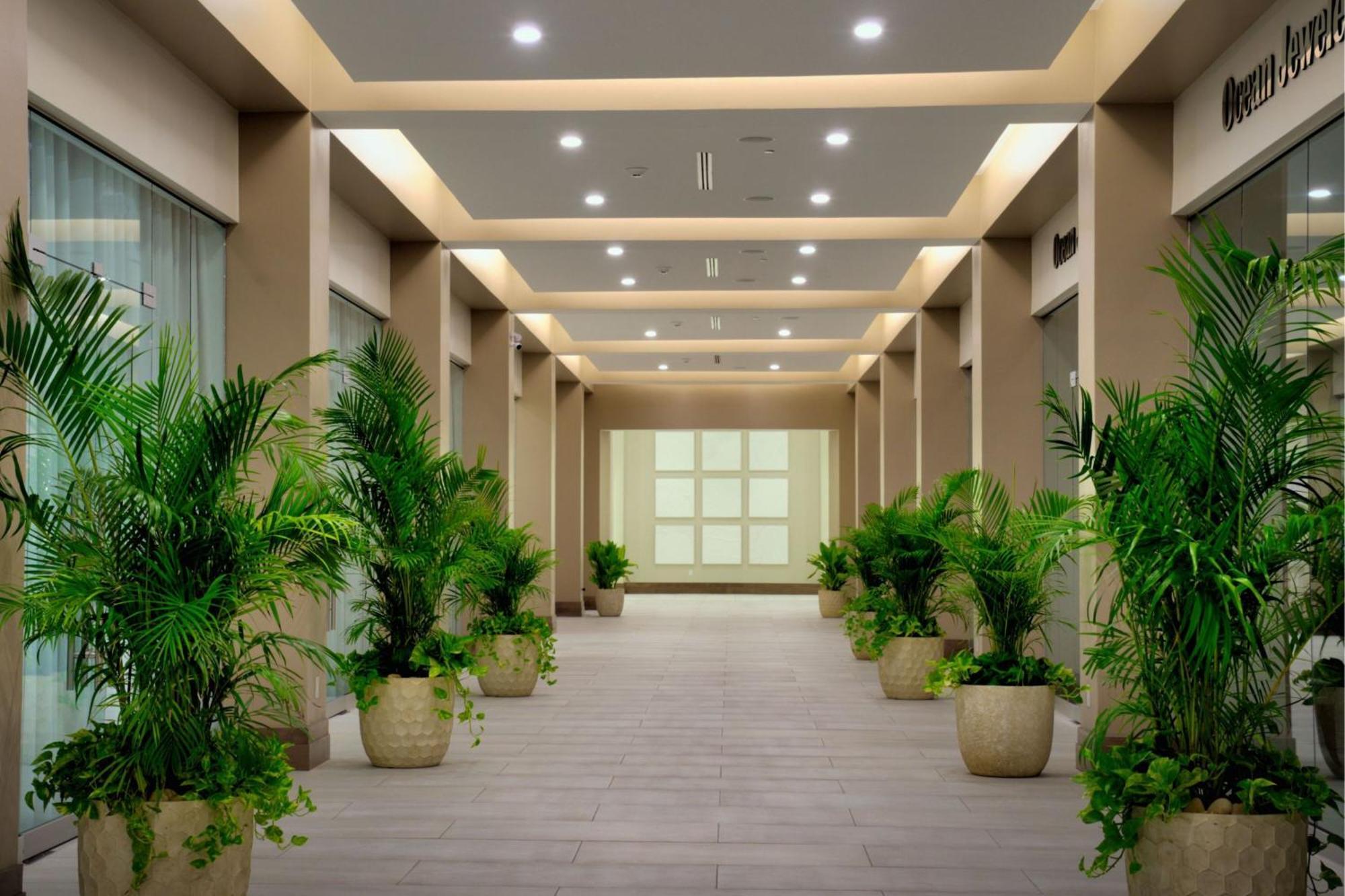 Jw Marriott St Maarten Beach Resort & Spa Dawn Beach Esterno foto